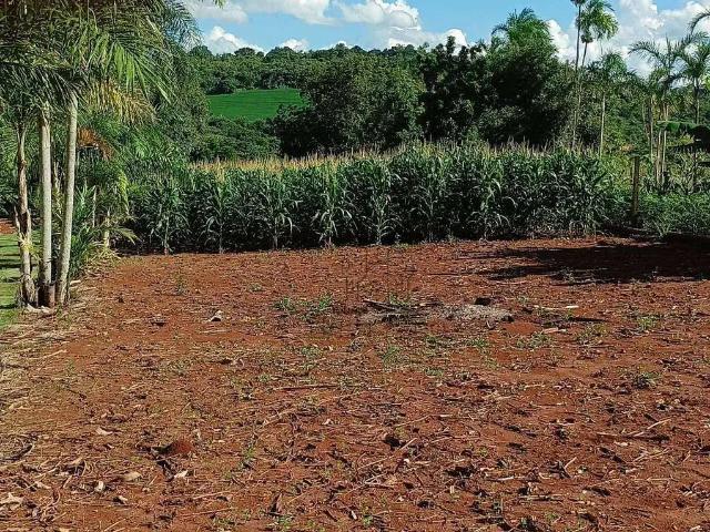 Sítio e chácara venda em Região Geográfica Imediata de Londrina, Londrina