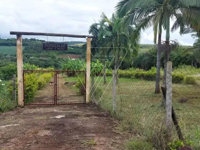 Sítio e chácara venda em Região Geográfica Imediata de Londrina, Londrina