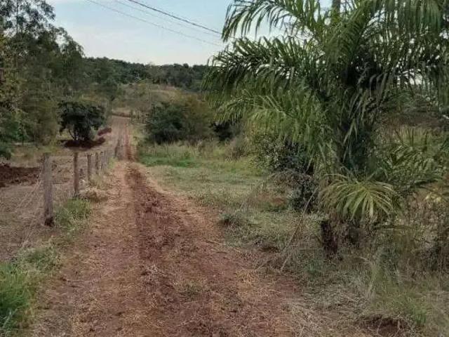 Sítio e chácara venda em Região Geográfica Imediata de Londrina, Londrina