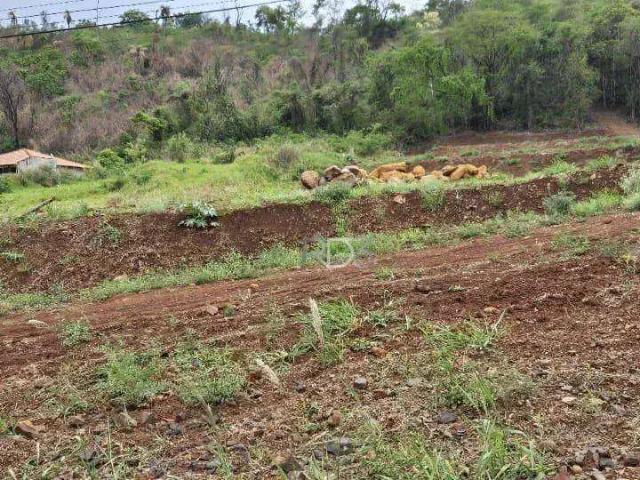 Sítio e chácara venda em Região Geográfica Imediata de Londrina, Londrina