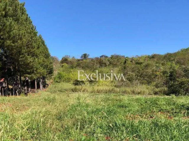 Sítio e chácara venda em Região Geográfica Imediata de Londrina, Londrina