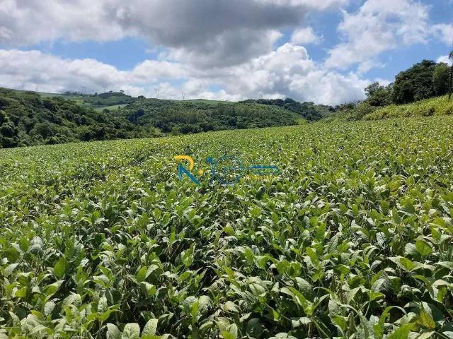 Sítio e chácara venda em Rancho Grande, Itaquaquecetuba