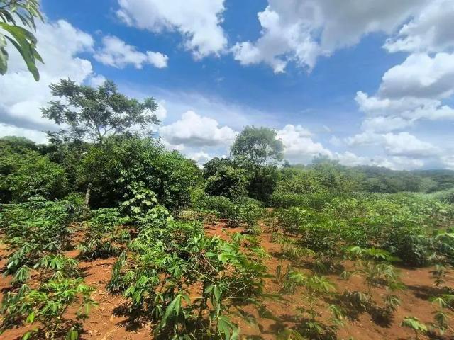 Sítio e chácara venda em Região Geográfica Imediata de Londrina, Londrina