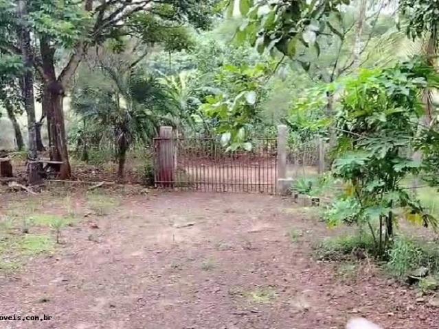 Sítio e chácara venda em Londrina, Região Geográfica Intermediária de Londrina
