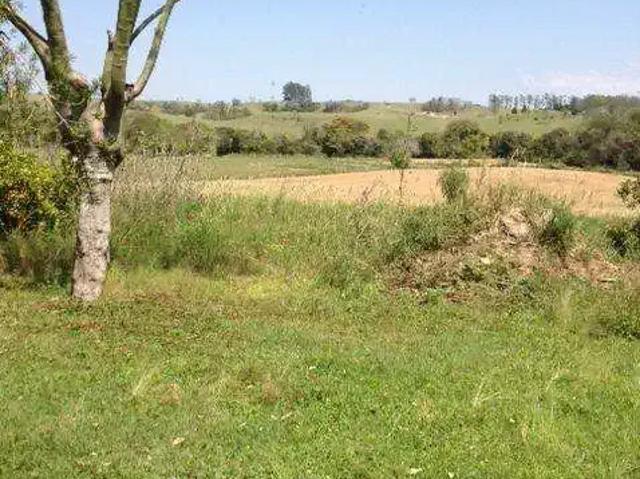 Sítio e chácara venda em Paiquerê, Londrina