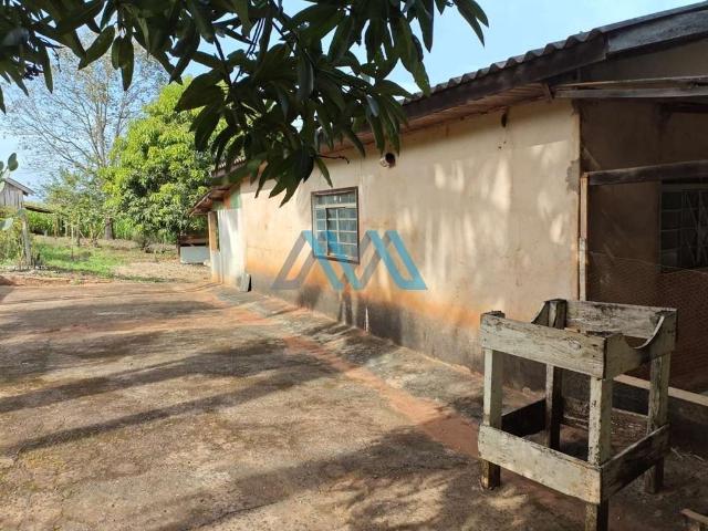 Sitio venda em Londrina, Maravilha