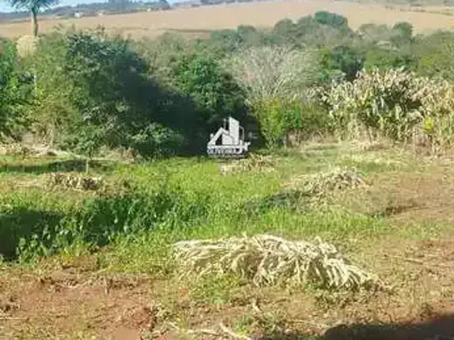 Sítio e chácara venda em Região Geográfica Imediata de Londrina, Londrina