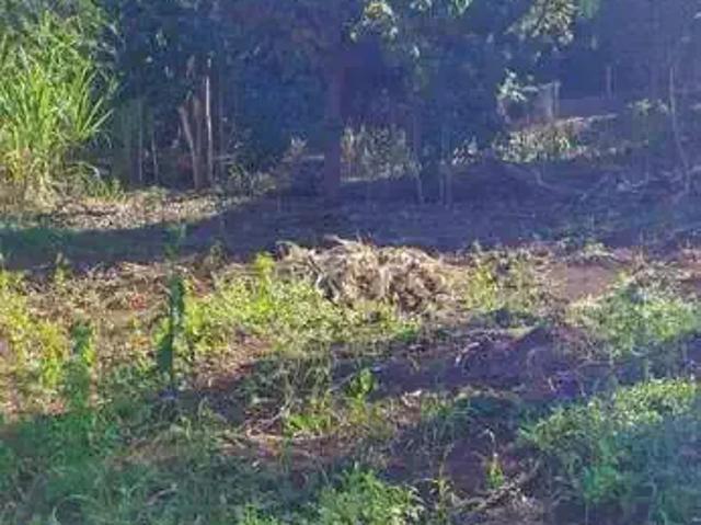 Sítio e chácara venda em Região Geográfica Imediata de Londrina, Londrina