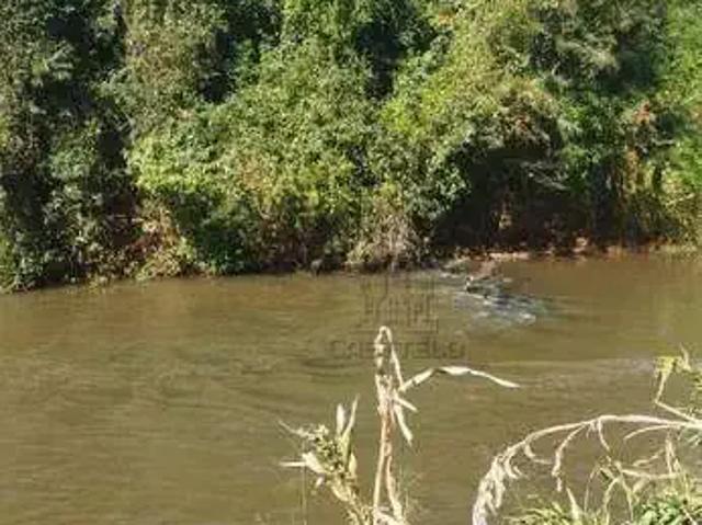 Sítio e chácara venda em Região Geográfica Imediata de Londrina, Londrina