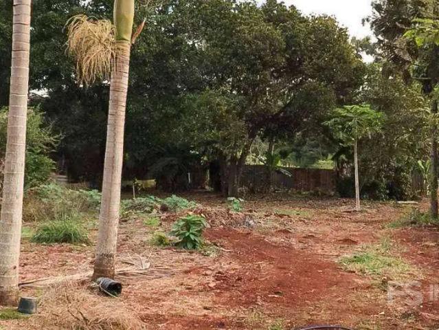 Sítio e chácara venda em Região Geográfica Imediata de Londrina, Londrina