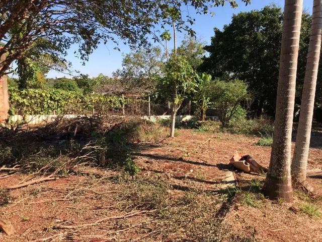 Sítio e chácara venda em Região Geográfica Imediata de Londrina, Londrina