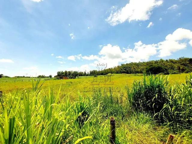 Sítio e chácara venda em Região Geográfica Imediata de Londrina, Cambé