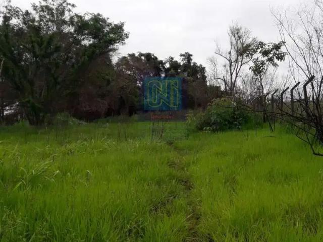 Sítio e chácara venda em Região Geográfica Imediata de Londrina, Londrina