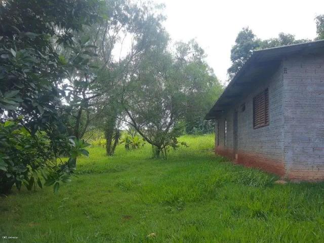Sítio e chácara venda em Região Geográfica Imediata de Londrina, Londrina