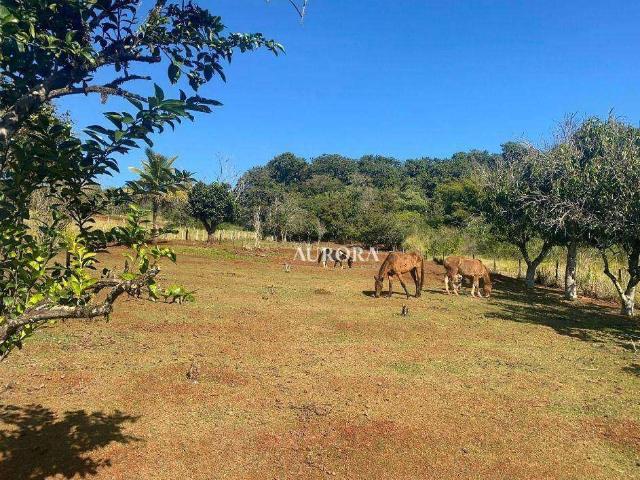 Sítio e chácara venda em Região Geográfica Imediata de Londrina, Londrina
