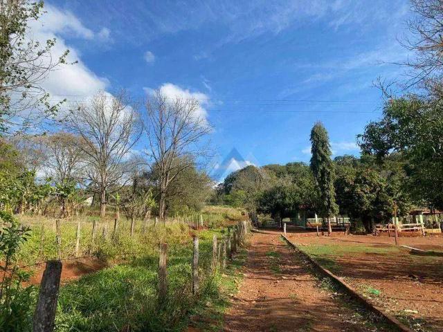 Sítio e chácara venda em Região Geográfica Imediata de Londrina, Londrina