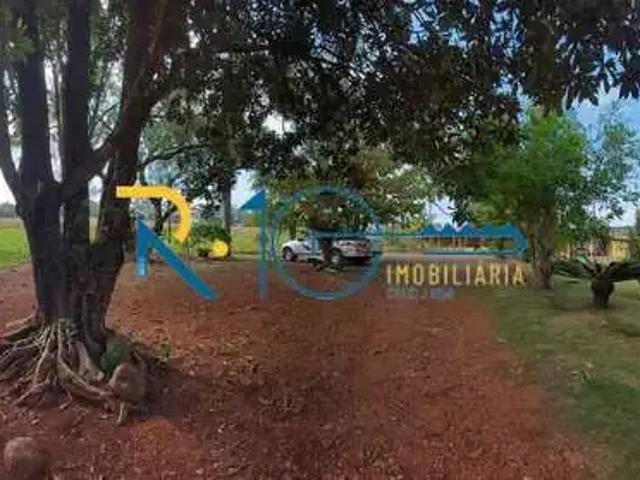 Sítio e chácara venda em Região Geográfica Imediata de Londrina, Londrina