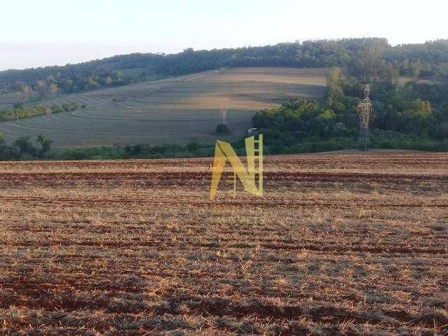 Sítio e chácara venda em Palhano, Londrina