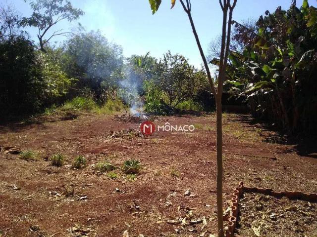 Sítio e chácara venda em Região Geográfica Imediata de Londrina, Londrina