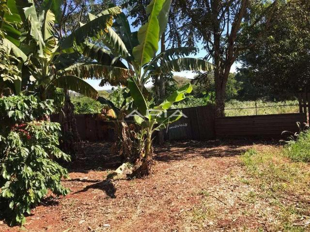 Sítio e chácara venda em Região Geográfica Imediata de Londrina, Londrina
