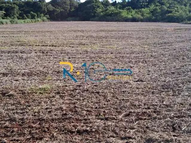 Sítio e chácara venda em Região Geográfica Imediata de Londrina, Londrina