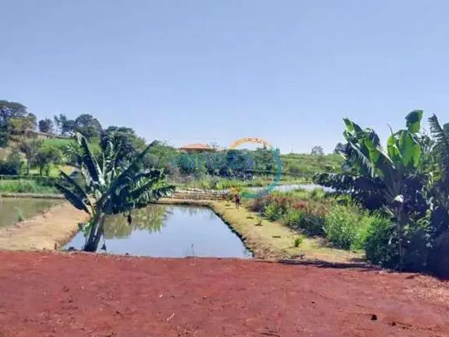 Sítio e chácara venda em Região Geográfica Imediata de Londrina, Londrina