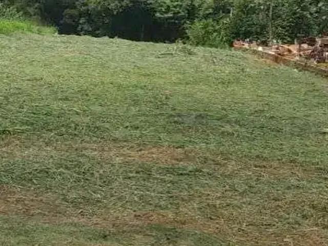 Sítio e chácara venda em Região Geográfica Imediata de Londrina, Londrina