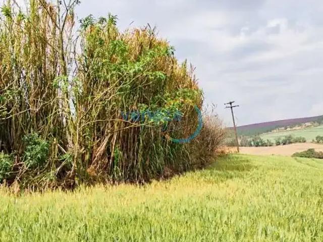 Sítio e chácara venda em Região Geográfica Imediata de Londrina, Londrina