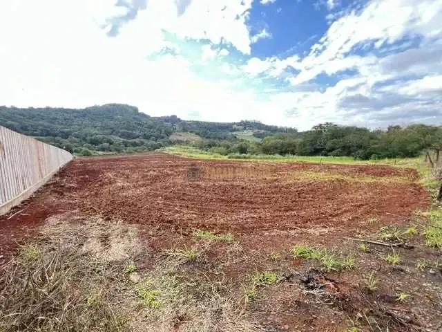 Sítio e chácara venda em Região Geográfica Imediata de Londrina, Londrina