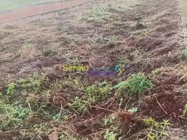Sítio e chácara venda em Região Geográfica Imediata de Londrina, Londrina