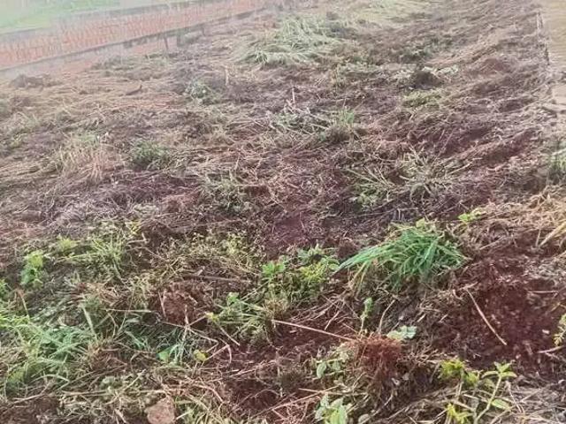 Sítio e chácara venda em Região Geográfica Imediata de Londrina, Londrina