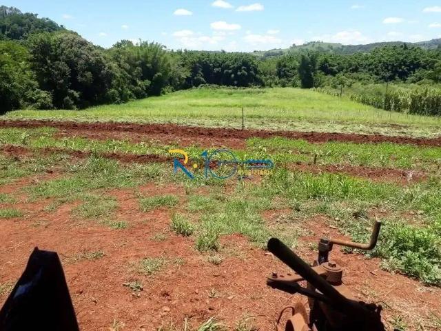 Sítio e chácara venda em Região Geográfica Imediata de Londrina, Londrina