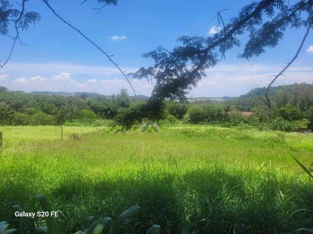 Sítio e chácara venda em Região Geográfica Imediata de Londrina, Londrina