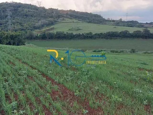 Sítio e chácara venda em Região Geográfica Imediata de Londrina, Londrina