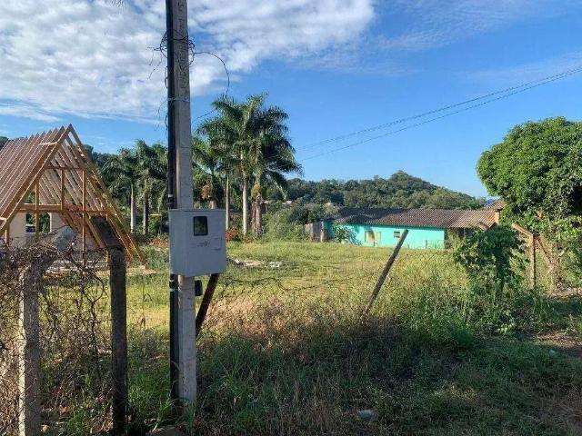 Sítio e chácara venda em Região Geográfica Imediata de Londrina, Londrina