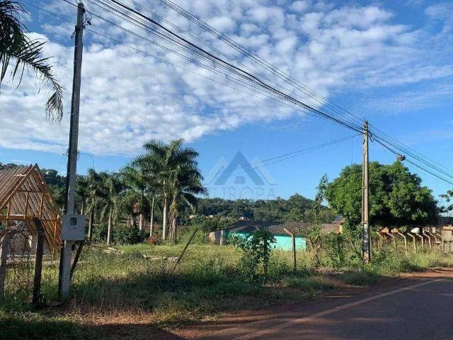 Sítio e chácara venda em Região Geográfica Imediata de Londrina, Londrina