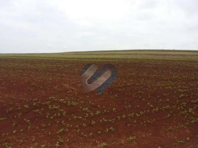 Sítio e chácara venda em Região Geográfica Imediata de Londrina, Londrina