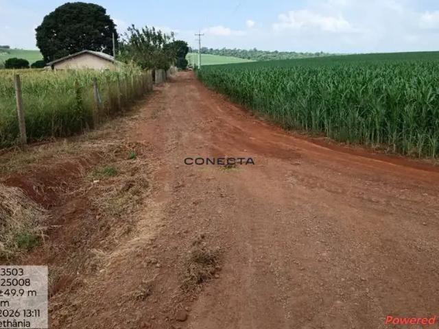 Sítio e chácara venda em Região Geográfica Imediata de Londrina, Londrina
