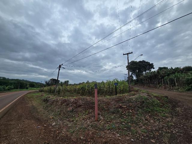 Sítio e chácara venda em Região Geográfica Imediata de Londrina, Londrina