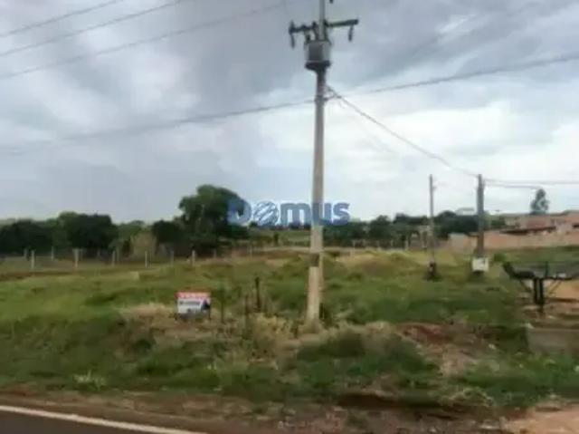 Sítio e chácara venda em Região Geográfica Imediata de Londrina, Londrina