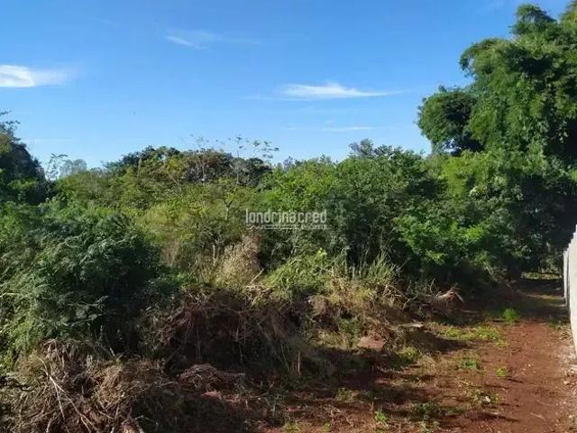 Sítio e chácara venda em Região Geográfica Imediata de Londrina, Londrina