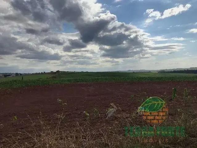 Sítio e chácara venda em Região Geográfica Imediata de Londrina, Londrina
