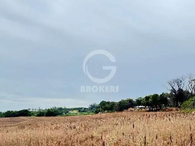 Sítio e chácara venda em Warta, Londrina