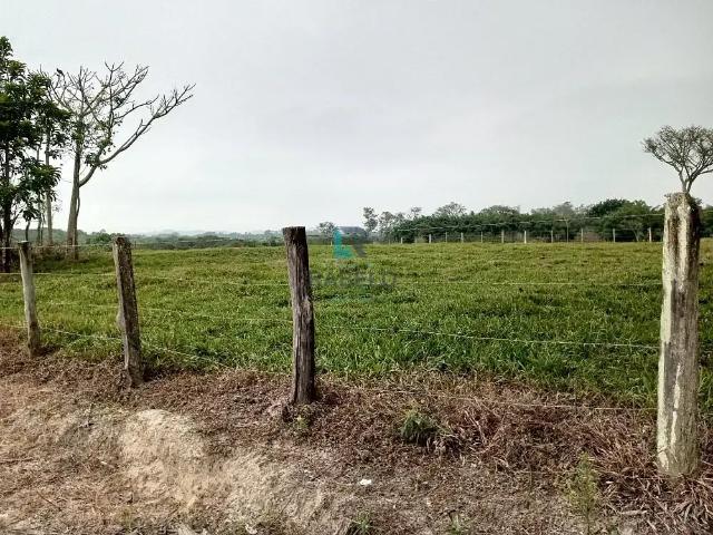 Sítio e chácara venda em Região Imediata de Guaratinguetá, Região Metropolitana do Vale do Paraíba e Litoral Norte