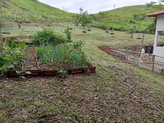 Sítio e chácara venda em Região Imediata de Guaratinguetá, Região Metropolitana do Vale do Paraíba e Litoral Norte