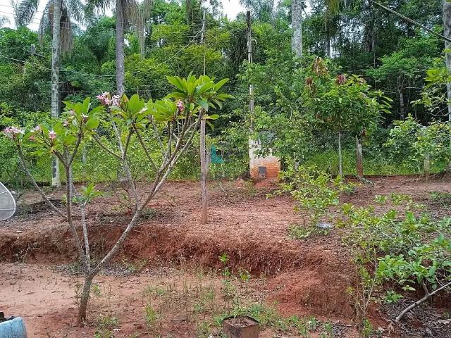 Sítio e chácara venda em Região Imediata de Guaratinguetá, Região Metropolitana do Vale do Paraíba e Litoral Norte