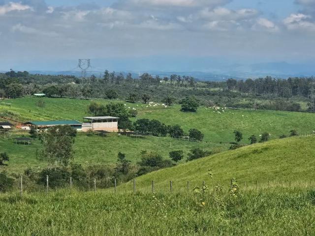 Sítio e chácara venda em Região Imediata de Guaratinguetá, Região Metropolitana do Vale do Paraíba e Litoral Norte