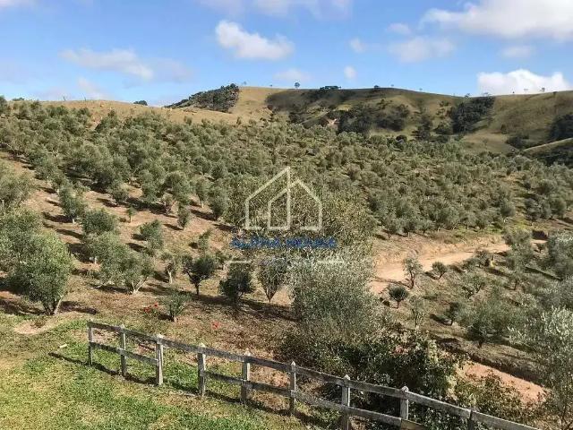 Sítio e chácara venda em Região Imediata de Limeira, Região Metropolitana de Piracicaba