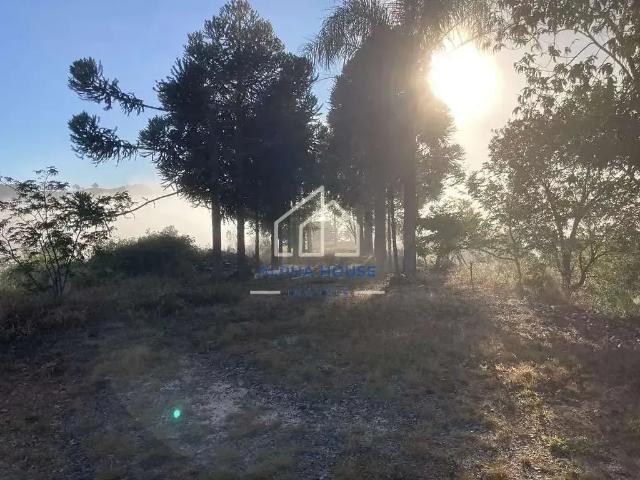 Sítio e chácara venda em Região Imediata de Limeira, Região Metropolitana de Piracicaba