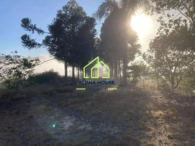 Sítio e chácara venda em Região Imediata de Guaratinguetá, Região Metropolitana do Vale do Paraíba e Litoral Norte